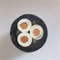 国标线UGF10KV橡套软电缆