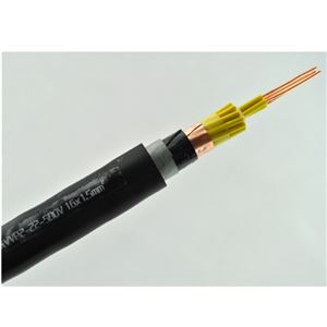 KVVP2-22 450/750V铜带屏蔽铠装控制电缆
