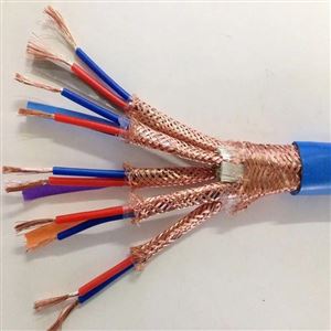计算机屏蔽电缆DJYVRP-300/500V