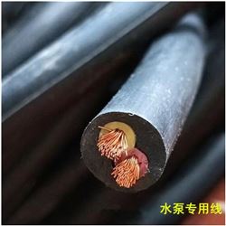 JHS 水泵电源线